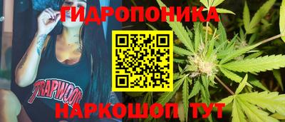 прущие грибы Изобильный