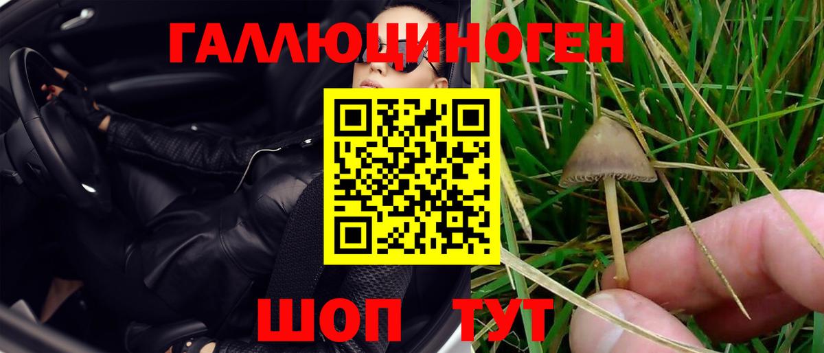 Псилоцибиновые грибы мухоморы  Вход с VPN  купить наркотик  Миасс 